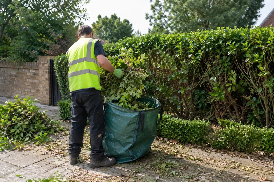 Worker in hi-vis loading hedge cuttings into a garden waste bag