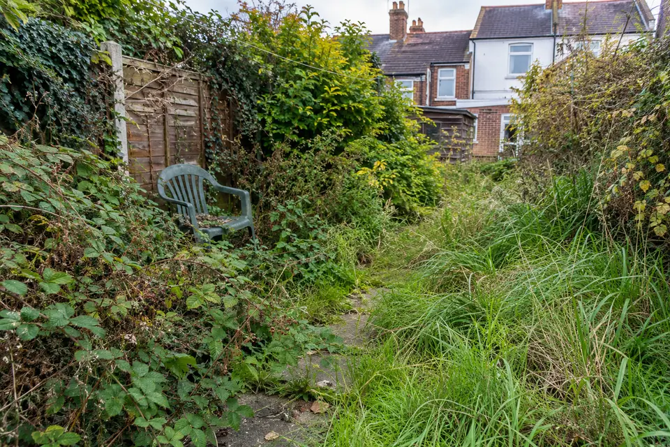 Overgrown back garden with long grass and brambles before a garden clearance